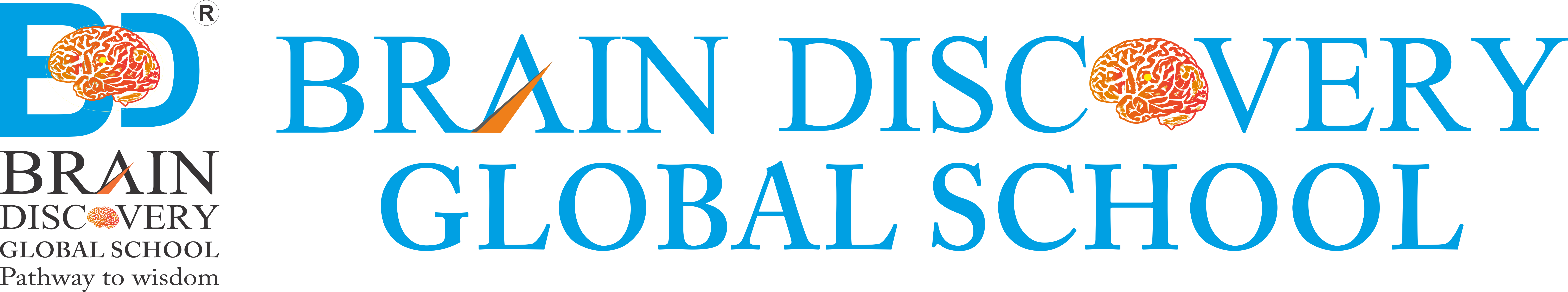 Brain Discovery Global School